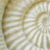 PAST LIFE REGRESSION THERAPY